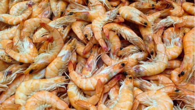 58105a7912a59-ilustrasi-udang_665_374.jpg