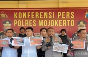 ¡Publicado! Alvi ha distorsionado a su novia en 310 partes