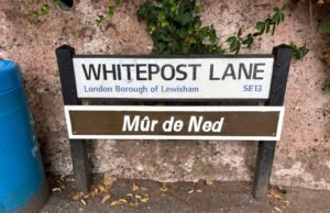 “ Dura 40,000 milímetros de largo, o casi ‘- Cómo correr Ned Boul en el “Ripe of Ned” en octubre