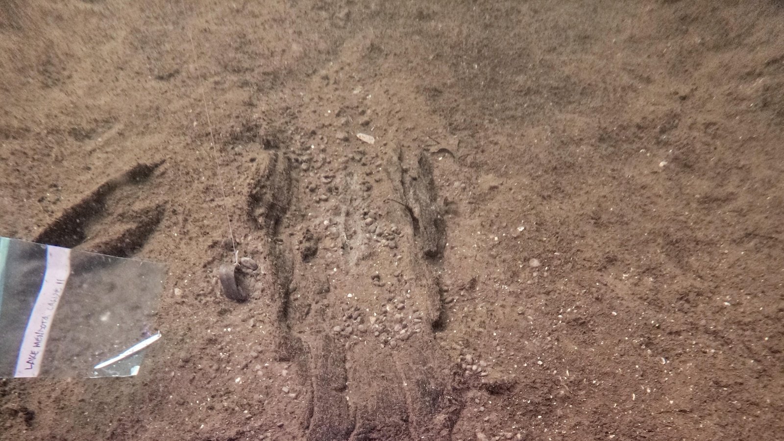 Arqueólogos de Wisconsin identifican 16 canoas antiguas en el ‘estacionamiento’ de un lago prehistórico