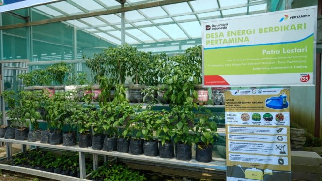 La innovación de Pertamina de intercambiar paja por agua