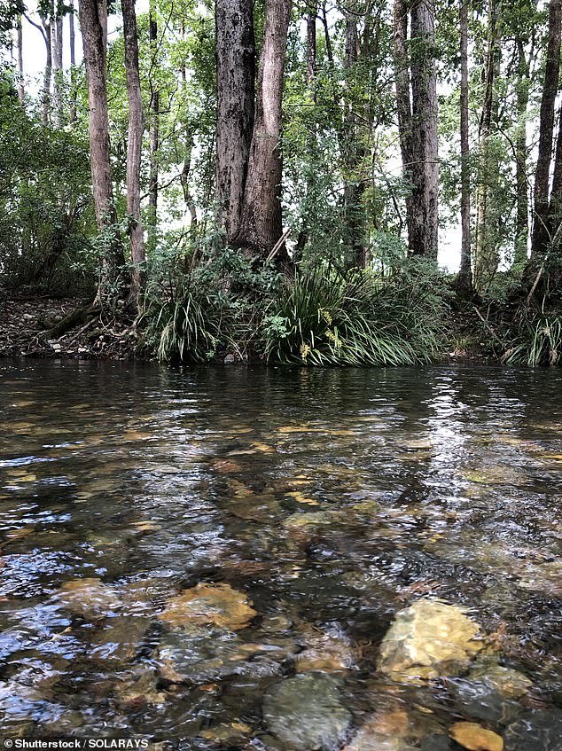 Tragedia del fin de semana largo del Día de Australia: dos hombres se ahogan en el río y una mujer embarazada es trasladada de urgencia al hospital