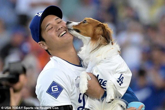 El querido perro Decoy de Shohei Ohtani recibe un raro honor mientras la estrella de los Dodgers gana más premios