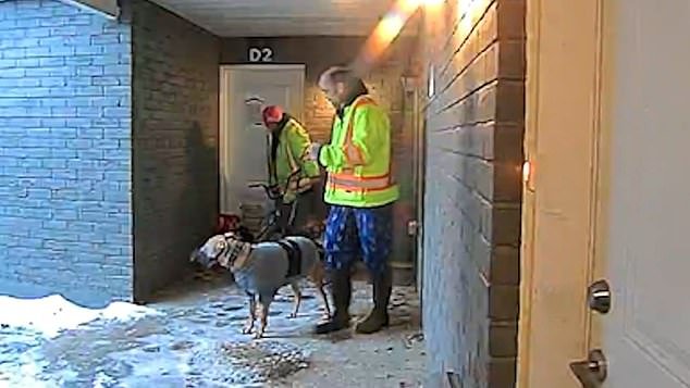 Viles dueños de bulldog ignoran los sanguinarios ataques de sus animales a dos mujeres y una niña que estaban de visita en la casa vecina