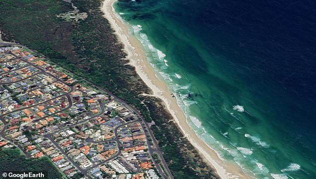 Un tiburón envía a un surfista a volar desde la tabla en un encuentro aterrador que cierra la playa de Nueva Gales del Sur