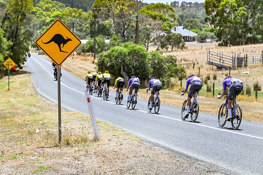 Los equipos confirman las fracturas de dos ciclistas heridos en un accidente con un canguro durante el Tour Down Under