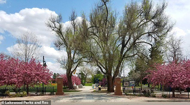 El encantador suburbio de Denver desciende a un infierno lleno de vagabundos… y los legisladores desestiman las preocupaciones de los residentes diciéndoles que “la falta de vivienda es un problema complejo”