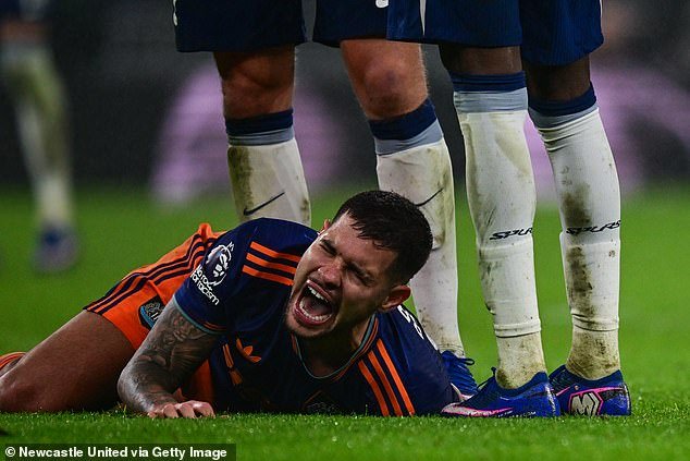 Newcastle se ha visto afectado por una lesión importante de Bruno Guimaraes cuando se reveló el alcance del problema en el tendón de la corva y el récord de la Premier League que podría significar un desastre para los Magpies.