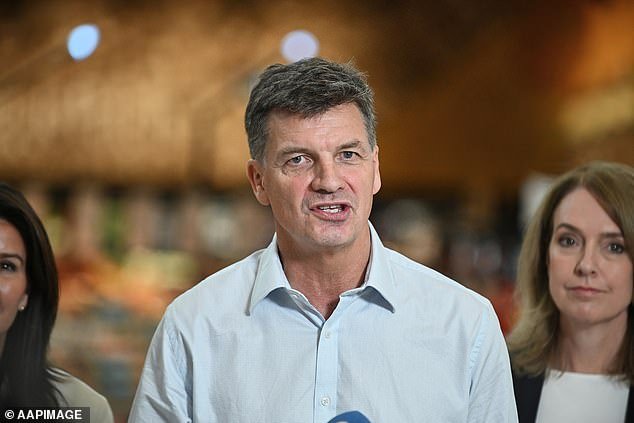 Filtraciones de una lista secreta de TRECE países a cuyos inmigrantes se les prohibiría establecerse en Australia: emerge una explosiva propuesta liberal al estilo Trump