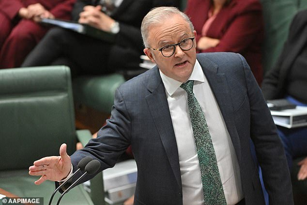 Anthony Albanese lanza una siniestra advertencia a las novias de ISIS que intentan regresar a Australia