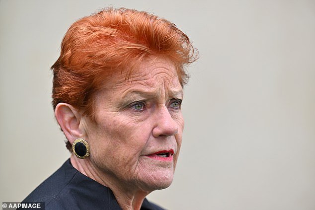 Pauline Hanson en los suburbios de Sydney dice que “la gente no puede ir allí” sin sentirse insegura