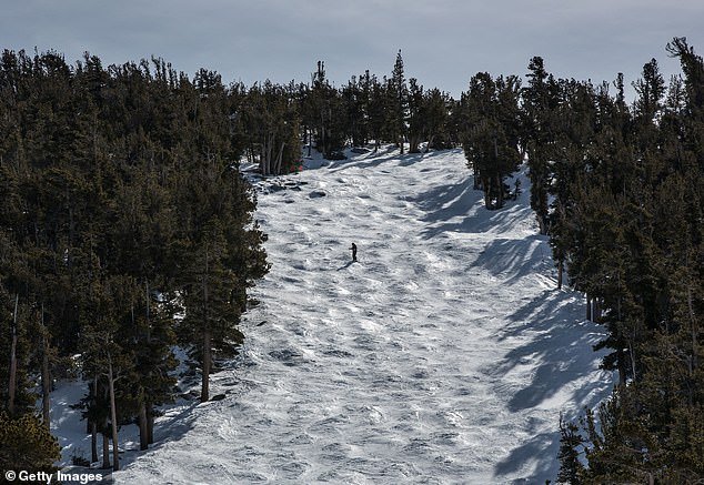 Dos esquiadores más murieron en Lake Tahoe pocos días después de que una avalancha de terror matara a ocho