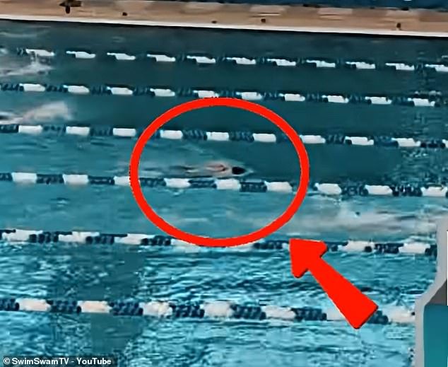 Momento horrible: la estrella de la natación de Stanford, de 20 años, flota boca abajo en la piscina antes de colapsar