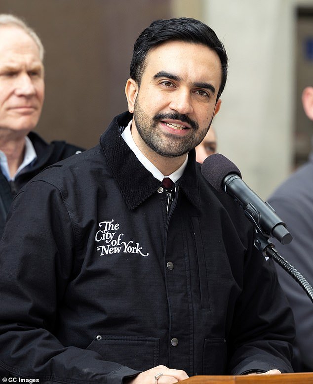 El alcalde de Nueva York es criticado por exigir varias identificaciones para palear nieve… mientras que su grupo socialista dice que no se necesita una para votar