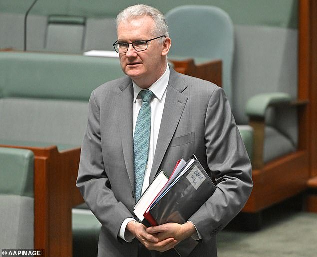 Por qué el gobierno albanés es impotente para impedir que las ‘novias del EI’ regresen a Australia, mientras la oposición pide un cambio en la ley de pasaportes