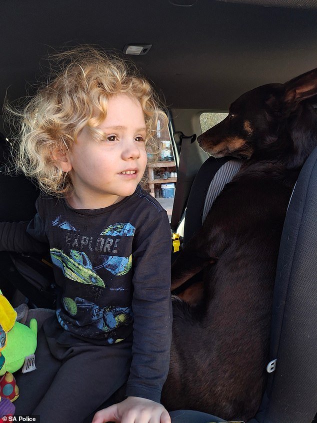 Nuevas y desgarradoras fotos del desaparecido Gus Lamont surgen cuando sus afligidos padres rompen su silencio para pedir ayuda cinco meses después de su desaparición.