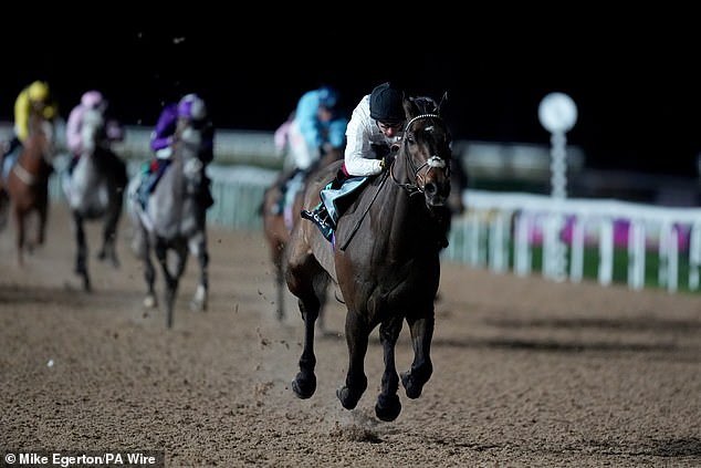 El entrenador de carreras enfrenta la decisión más importante de su carrera y hará una llamada agonizante al favorito de los fanáticos de Cheltenham el fin de semana.