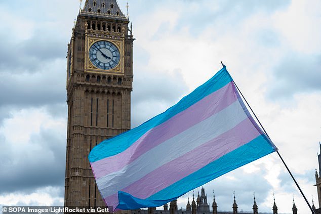 La prohibición de los deportes trans es racista, dicen los Verdes, ya que exigen productos menstruales gratuitos para las “personas que menstrúan”