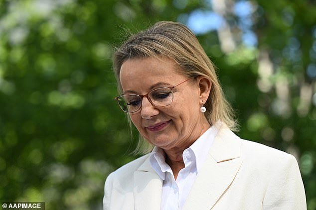 Sussan Ley dimite oficialmente del Parlamento y apunta al nuevo líder liberal Angus Taylor