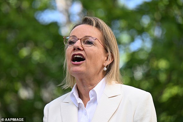 Sussan Ley ahora recibe 220.000 dólares al año por NADA hecho después de dejar la política, y usted paga por ello