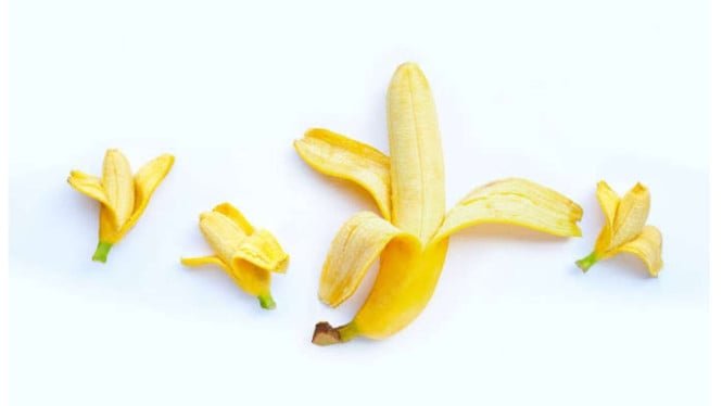 1770405759_63efbd6e60851-ilustrasi-pisang-sebagai-penis_665_374.jpeg