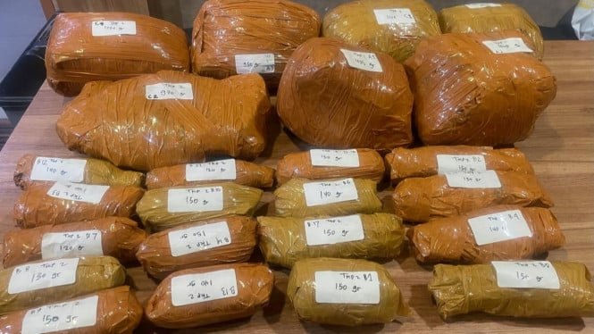La policía impide la distribución de 15,5 kg de marihuana en la comisaría de Tanah Abang