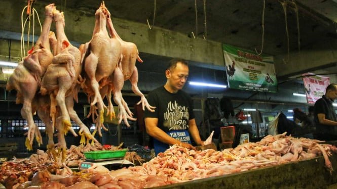 Al alcanzar los 45.000 IDR por kg, el Ministro de Comercio Budi comprobará los precios de la carne de pollo en el mercado