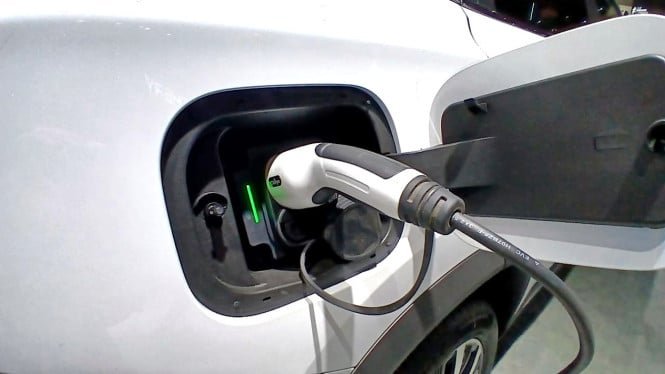 El mercado de segunda mano refleja la preocupación de los consumidores, el interés por los coches eléctricos se desploma en Singapur