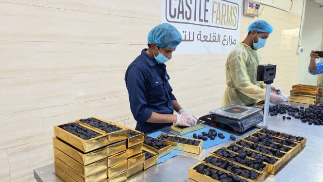 Dátiles y agua viva al romper el ayuno, Sunnah del Profeta llena de sabiduría