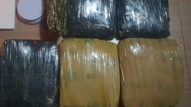 La policía de Metro Jaya arresta a 3 hombres que querían distribuir 15,5 kg de marihuana