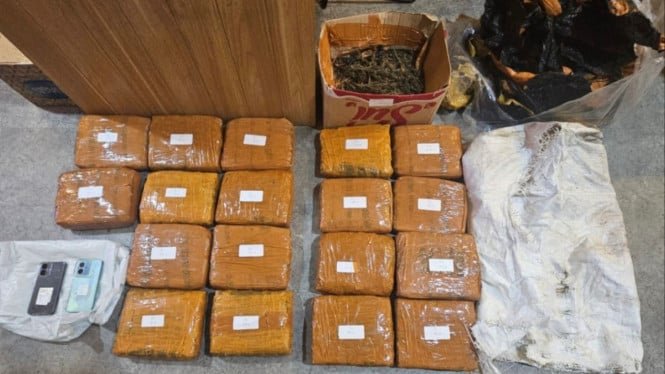 Hombre arrestado en el estacionamiento de Alfamart Kebon Jeruk, en el oeste de Yakarta, supuestamente almacenando 18 kg de marihuana