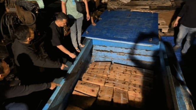 ¡Grupo de trabajo para combatir las infracciones alimentarias! Reveladas 77 toneladas de carne y fideos ilegales que contienen formalina