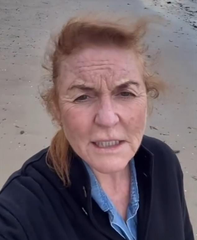 Sarah Ferguson se reunió con Epstein en su oficina durante su sentencia de prisión por delitos sexuales contra menores