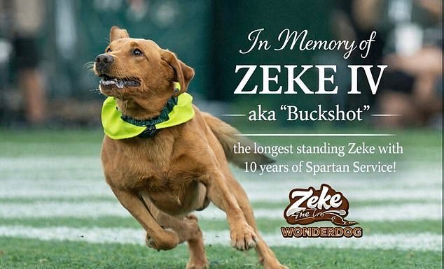 Equipo universitario de luto porque su querida mascota muere de cáncer