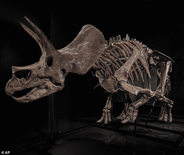 Esqueleto de Triceratops se subastará en plataforma fundada por Pharrell Williams