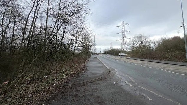 El ‘violador’ que se abalanzó sobre una mujer solitaria y la estranguló en 2003 fue encontrado mediante ADN después de que un hombre inocente pasara 17 años en prisión en un ‘terrible error judicial’, según escucha el jurado