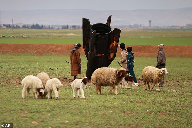 ¡Rebaño y admiración! Un misil cae en un campo de ovejas en Siria, ante el asombro de los habitantes y sus animales.