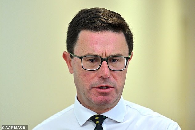 David Littleproud renuncia: el líder de los Nacionales lucha por contener las lágrimas mientras renuncia y admite: “Estoy jodido y ya he tenido suficiente”