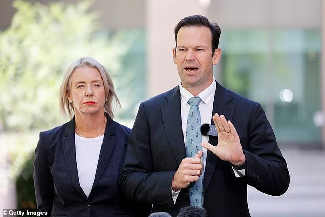 Matt Canavan hace un gran anuncio mientras los Nacionales luchan por un nuevo líder luego de la renuncia de David Littleproud