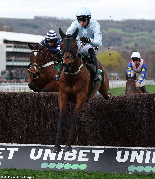 Caballo muere durante la segunda carrera del Festival de Cheltenham