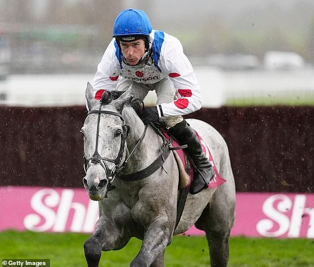 CONSEJOS PARA EL FESTIVAL DE CHELTENHAM – DÍA DOS: Por qué L’Eau Du Sud puede conseguir la Caza de Campeones… y no te pierdas nuestra oportunidad de 14-1 para la carrera inaugural