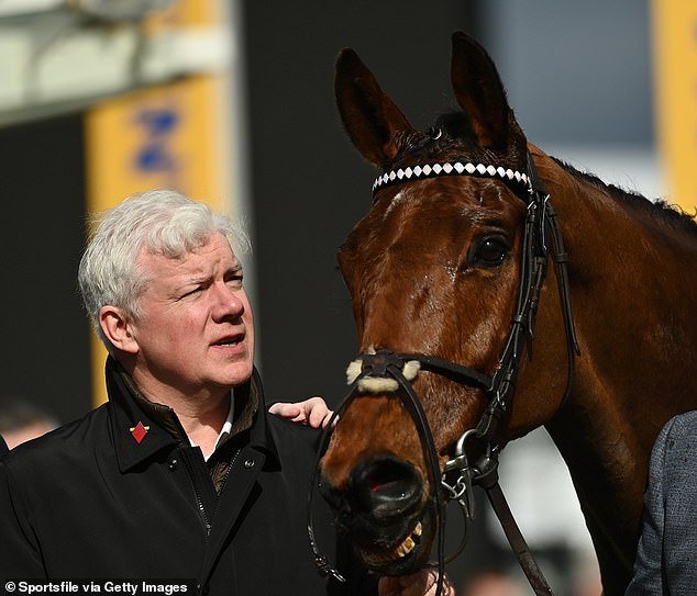 BRIAN ACHESON habla sobre su amado ‘tercer hijo’ Bob Olinger: cómo el caballo de regreso cambió su vida y cautivó a los fanáticos de las carreras en todo el país, mientras el caballo castrado apunta a un CUARTO triunfo en el Festival de Cheltenham