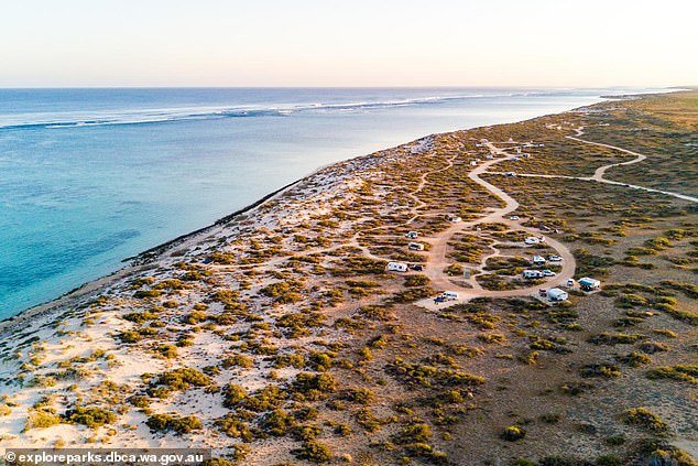 Horror cuando una mujer fue mordida por un tiburón en el campamento Kurrajong, Exmouth