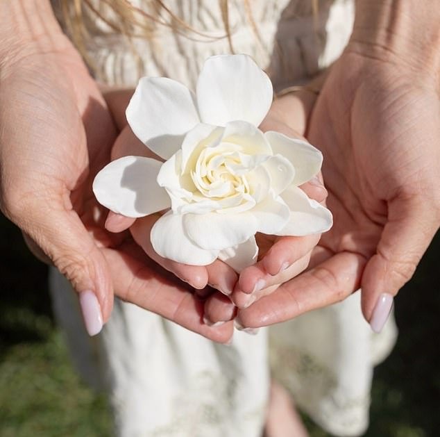 Meghan presenta nueva línea As Ever con Lilibet… mientras Netflix se encuentra con un enorme superávit de 10 millones de dólares de sus productos no vendidos después de su ‘separación’ con el streamer