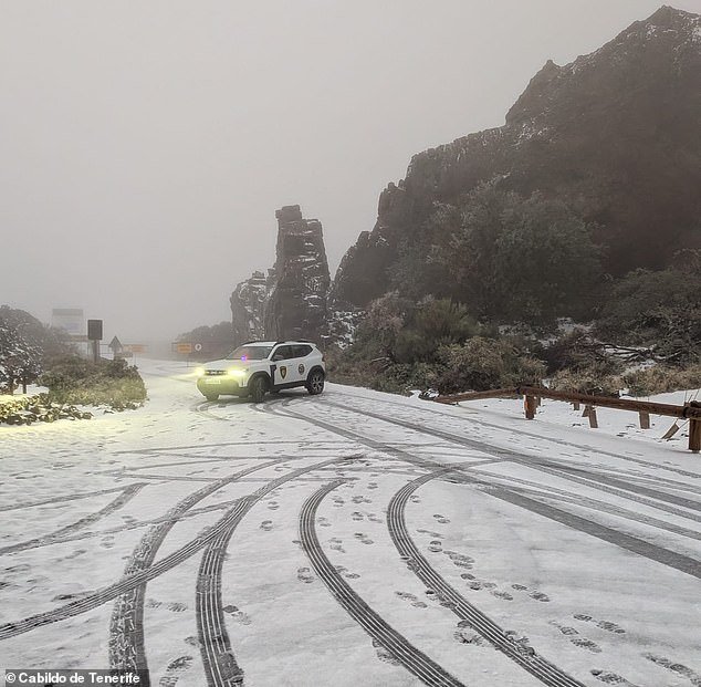 Se ha declarado el estado de emergencia en las Islas Canarias con “la peor tormenta registrada en más de una década” que traerá condiciones climáticas extremas e incluso nieve.