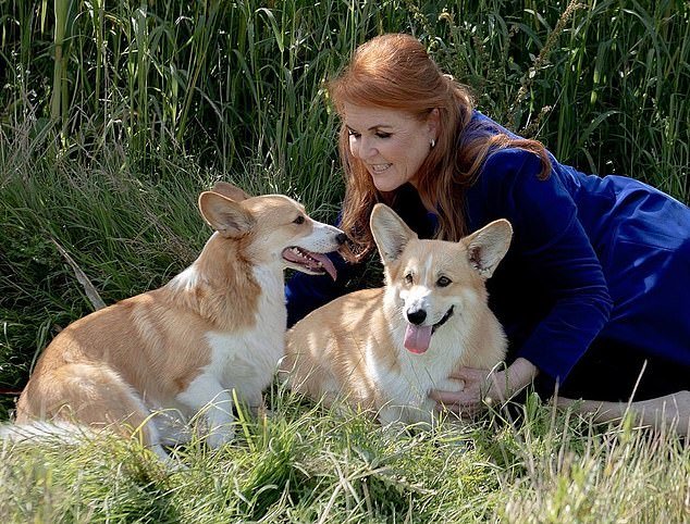El complot de Fergie para clonar los corgis de la Reina para reality shows: Justo cuando pensabas que la exduquesa no podía hundirse más, revelamos el extraordinario plan para vender réplicas genéticas de las queridas mascotas de la monarca.