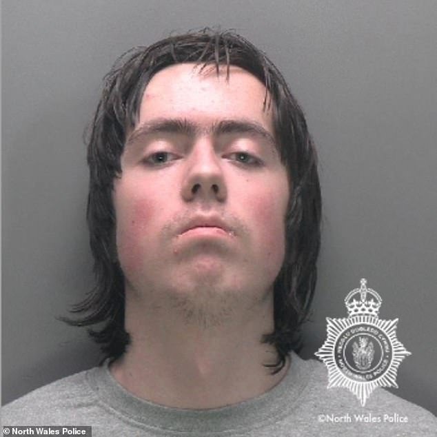 Los chatbots incitan a los asesinos de adolescentes: cómo los adolescentes asesinos utilizan la IA para planificar y llevar a cabo actos brutales de violencia, mientras los expertos advierten sobre su siniestra influencia en los jóvenes con problemas