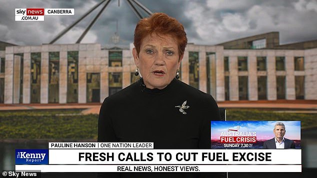 Pauline Hanson exige que se cancele el ABC después de que miles de empleados se retiraron por preocupaciones sobre salarios y carga de trabajo.