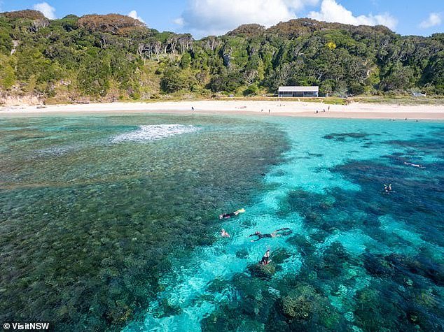 La tragedia golpea la isla Lord Howe cuando una mujer se ahoga en la playa, a pesar de los esfuerzos desesperados por salvarla