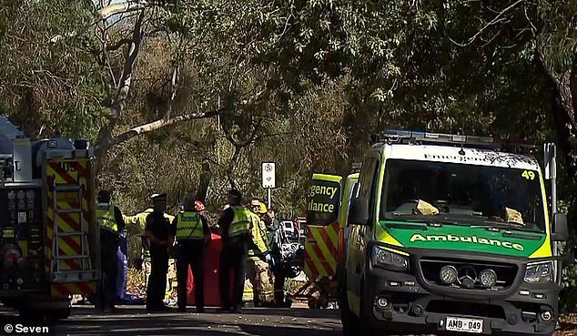 Triste actualización después de que una mujer fuera atropellada por su propio coche
